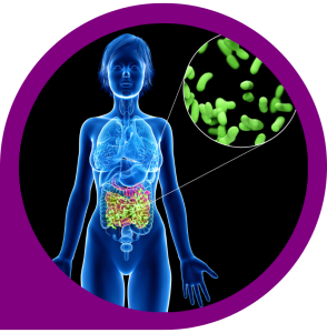 Understanding Probiotics: Beyond the Basics